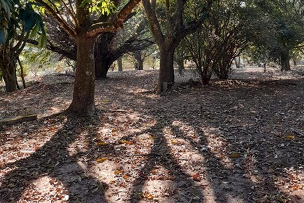 Terreno, 1400 m² - Foto 2