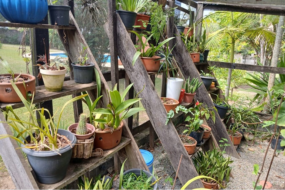 Chácara, 4 quartos, 4270 m² - Foto 51