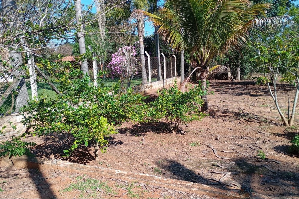 Chácara, 3 quartos, 2465 m² - Foto 53