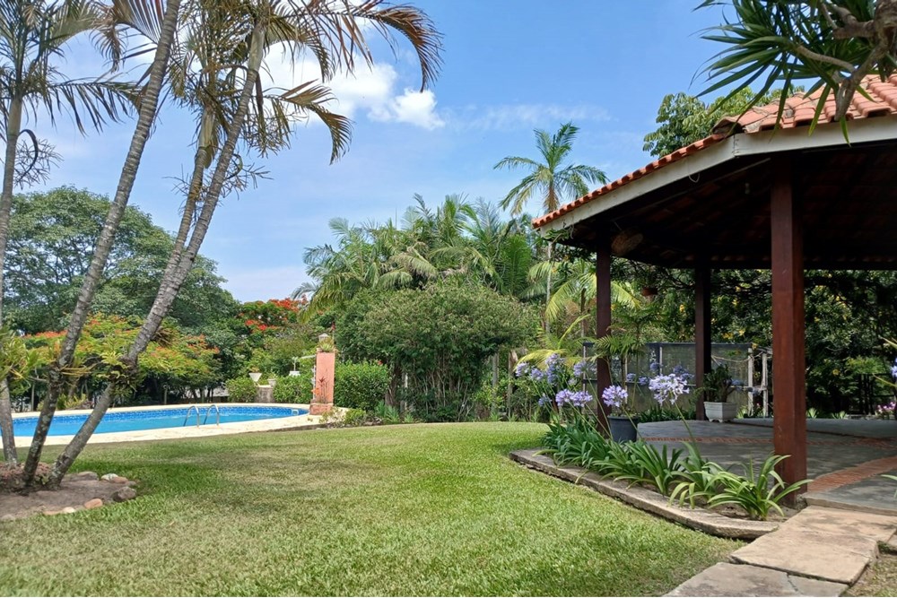 Chácara, 4 quartos, 4270 m² - Foto 6