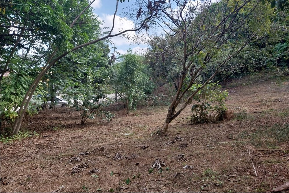 Terreno, 2803 m² - Foto 15