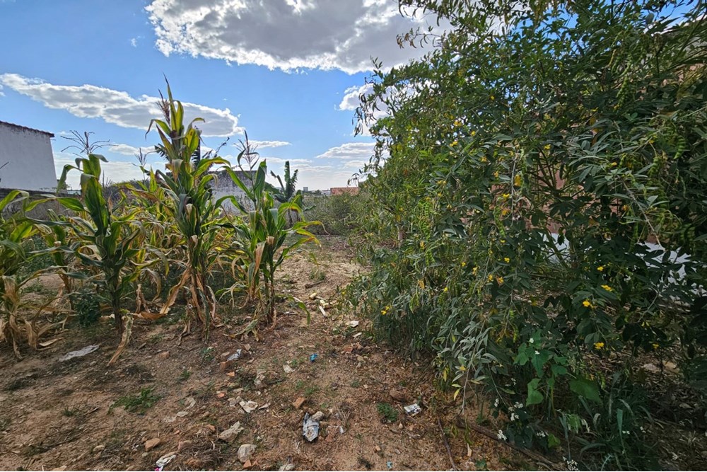 Loteamento e Condomínio, 343 m² - Foto 3