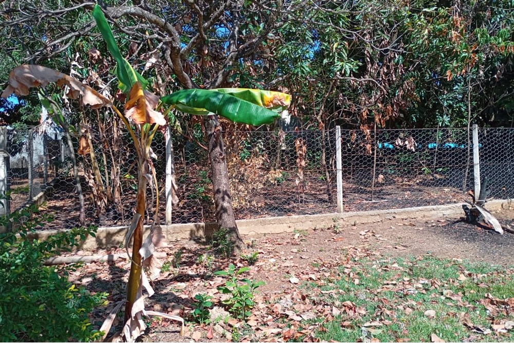 Chácara, 4 quartos, 3000 m² - Foto 20