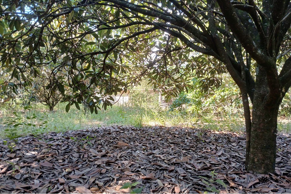 Terreno, 1400 m² - Foto 1