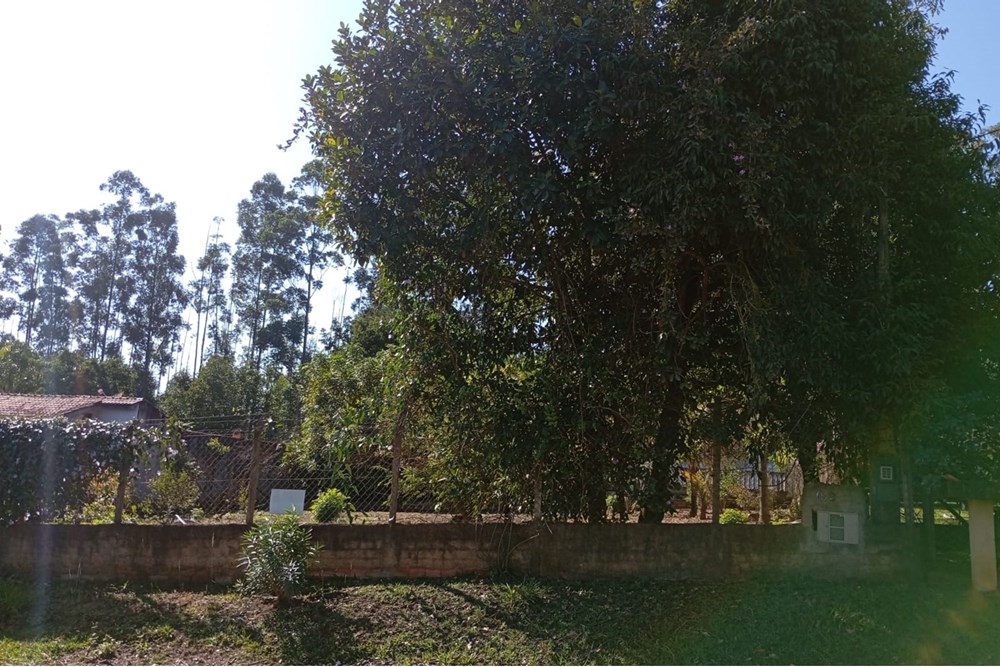 Chácara, 3 quartos, 2465 m² - Foto 52