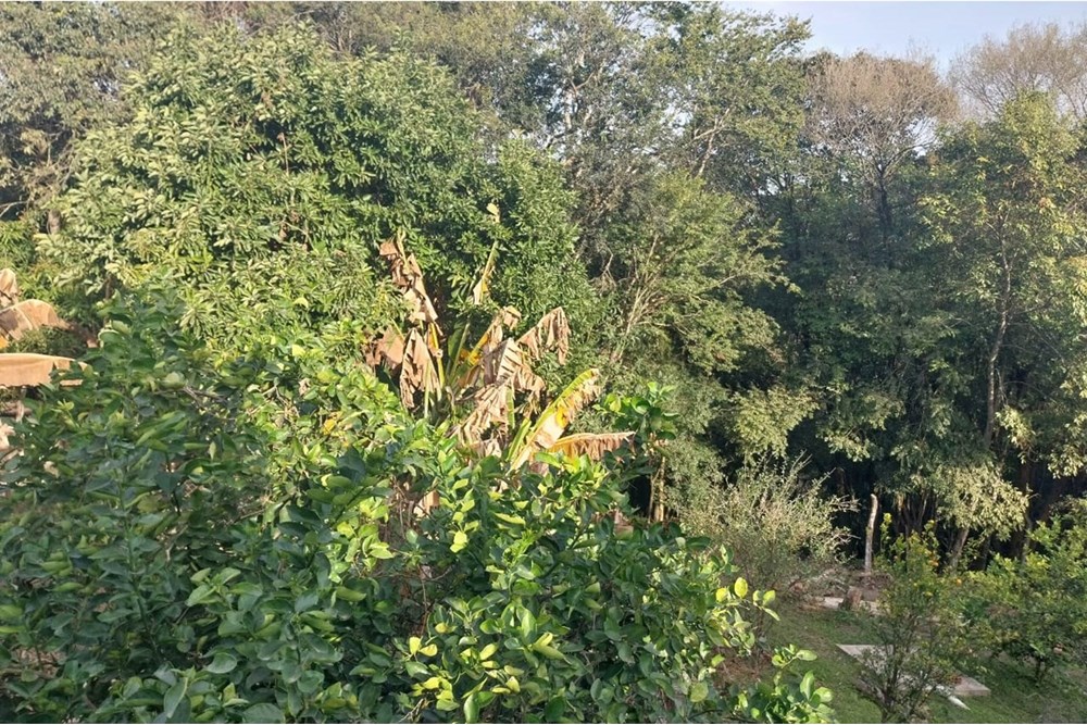 Chácara, 2 quartos, 1003 m² - Foto 13