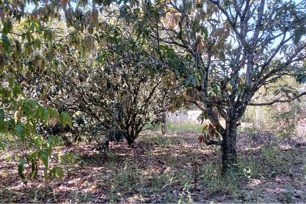 Terreno, 1400 m² - Foto 20