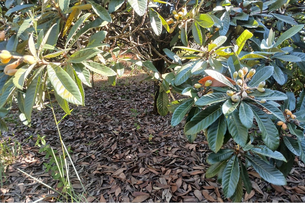 Terreno, 1400 m² - Foto 18