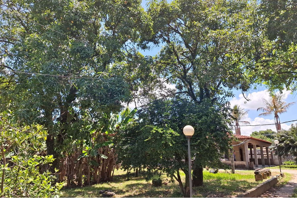 Chácara, 2 quartos, 1490 m² - Foto 30