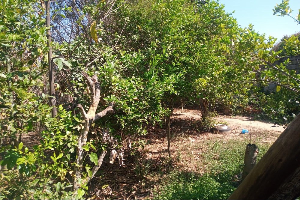 Chácara, 3 quartos, 1000 m² - Foto 23