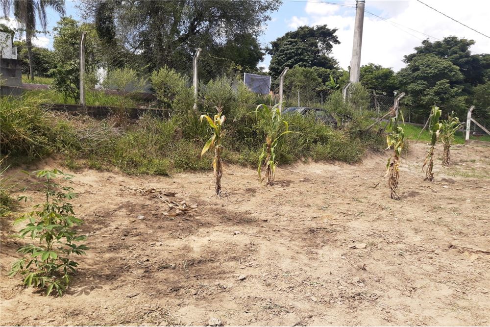 Terreno, 1300 m² - Foto 4