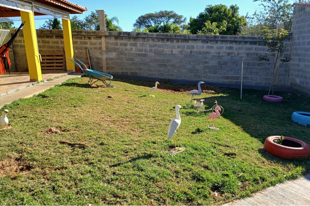 Chácara, 4 quartos - Foto 4