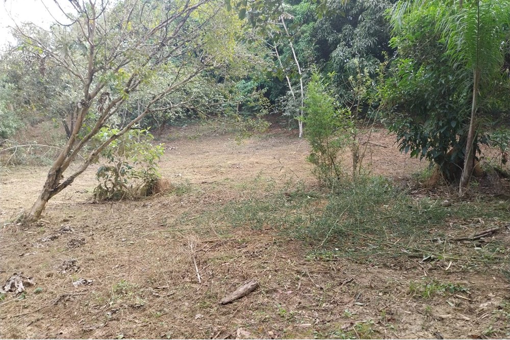 Terreno, 2803 m² - Foto 16