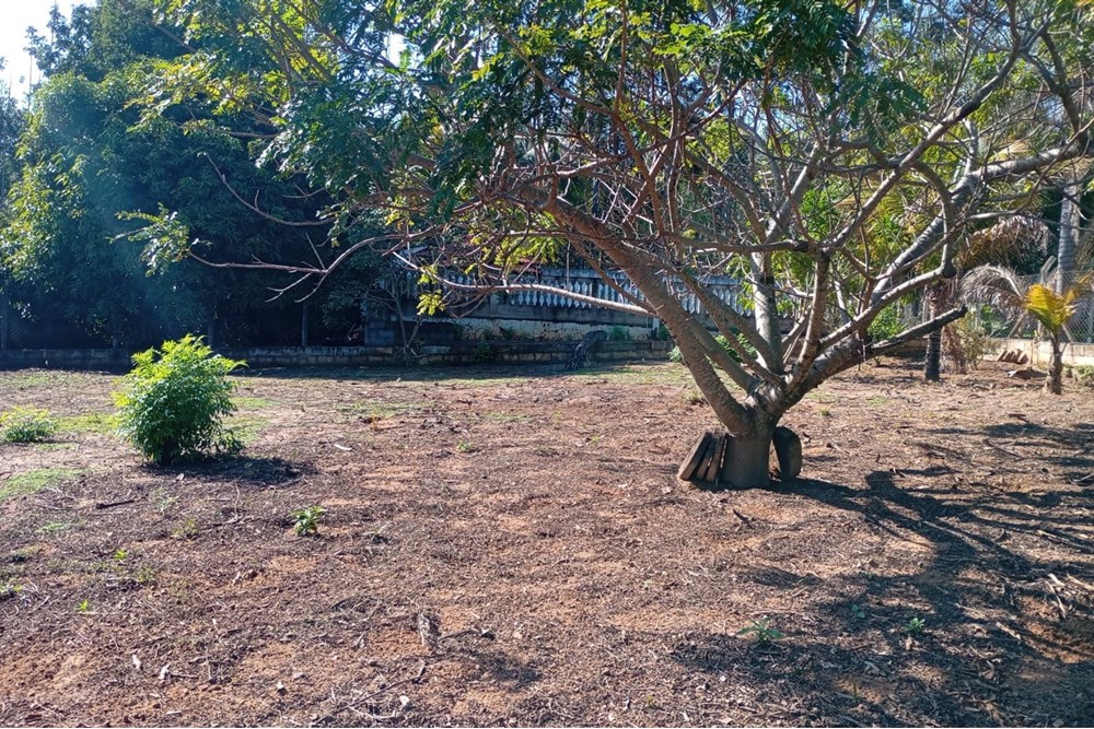 Terreno, 1232 m² - Foto 17