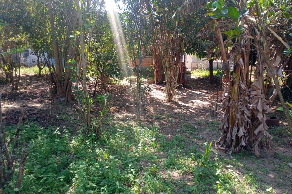 Chácara, 3 quartos, 1000 m² - Foto 25