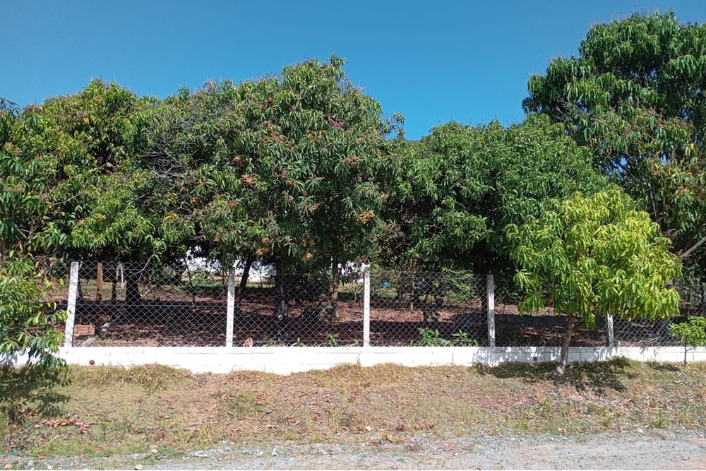 Chácara, 4 quartos, 3000 m² - Foto 15