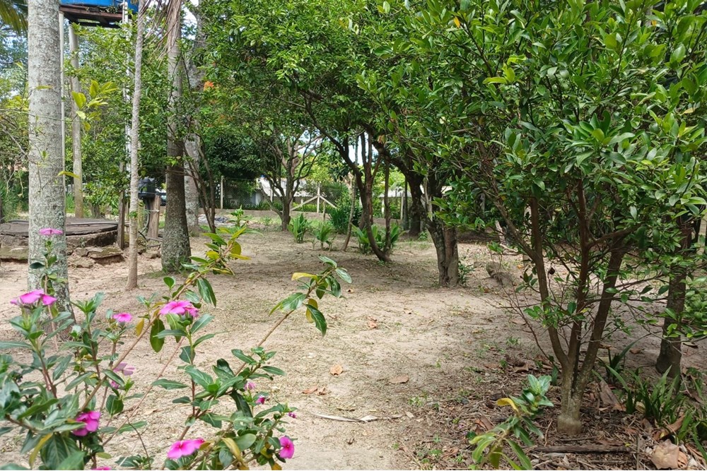 Chácara, 4 quartos, 4270 m² - Foto 59