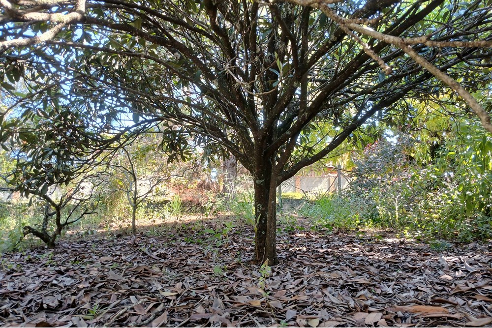 Terreno, 1400 m² - Foto 16