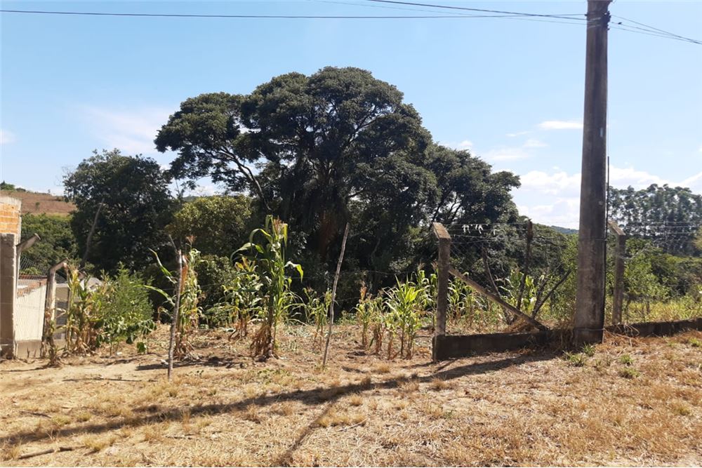 Terreno, 1300 m² - Foto 3