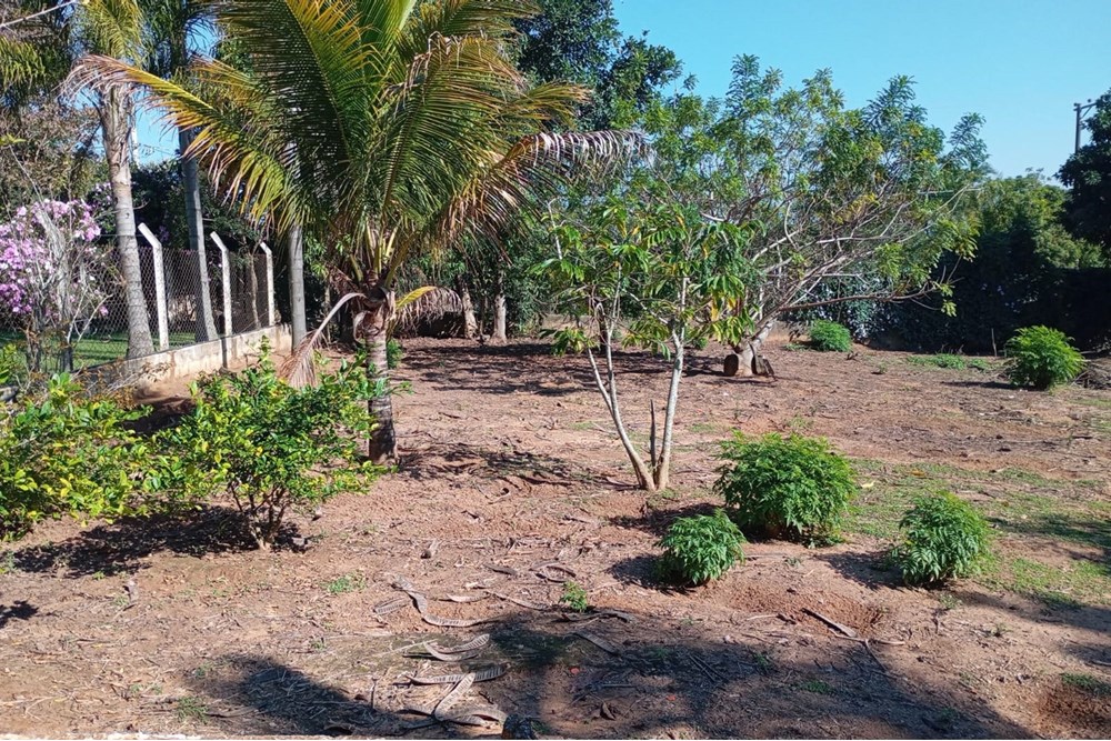 Chácara, 3 quartos, 2465 m² - Foto 56