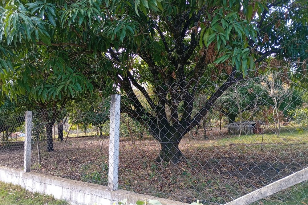 Chácara, 4 quartos, 3000 m² - Foto 10