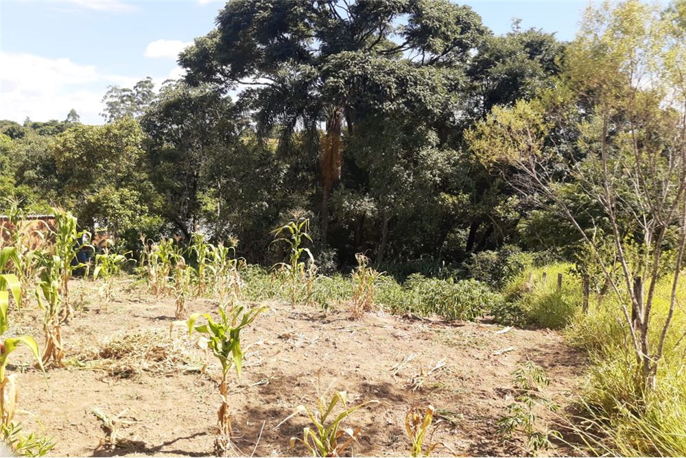 Terreno, 1300 m² - Foto 8