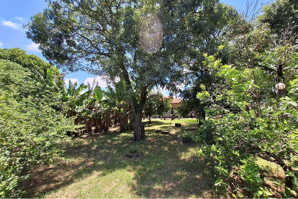 Chácara, 2 quartos, 1490 m² - Foto 29