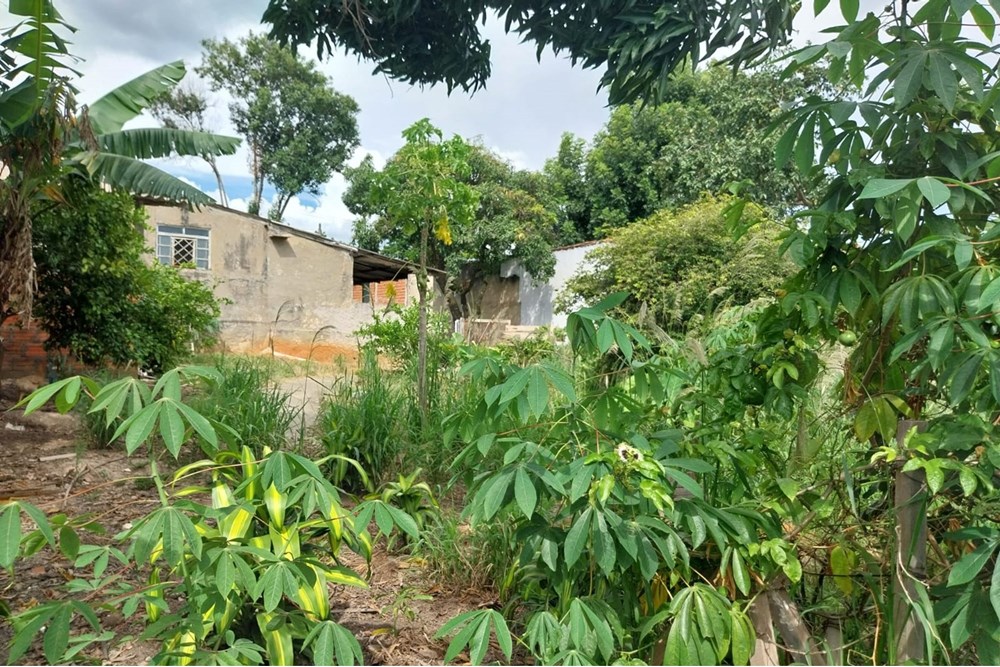 Chácara, 5 quartos, 938 m² - Foto 14