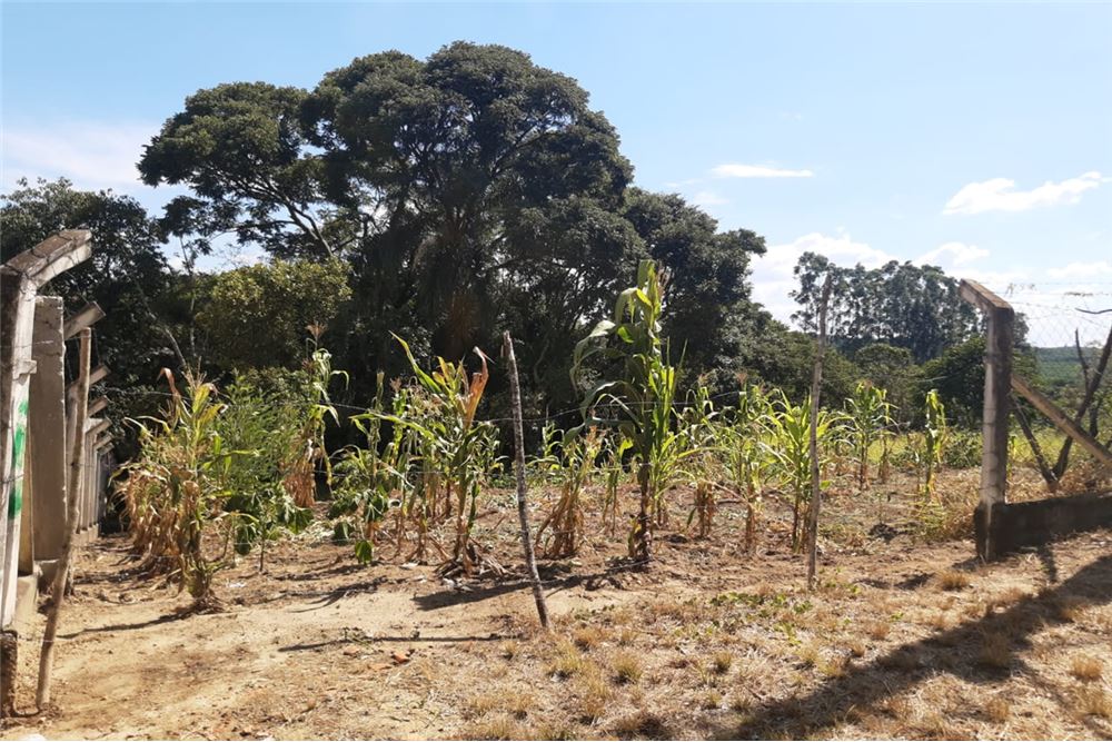 Terreno, 1300 m² - Foto 5