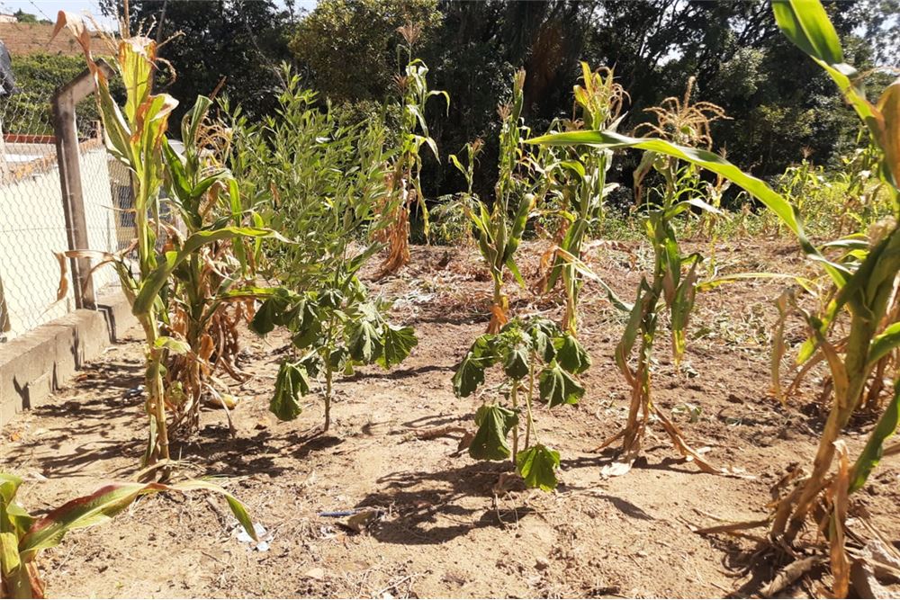 Terreno, 1300 m² - Foto 6