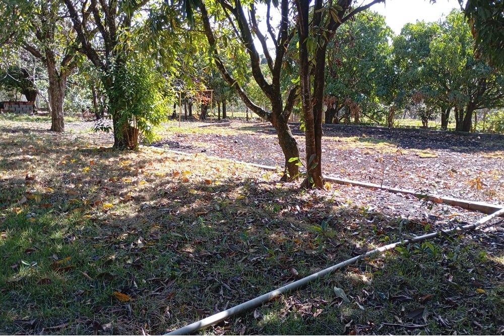 Chácara, 4 quartos, 3000 m² - Foto 47