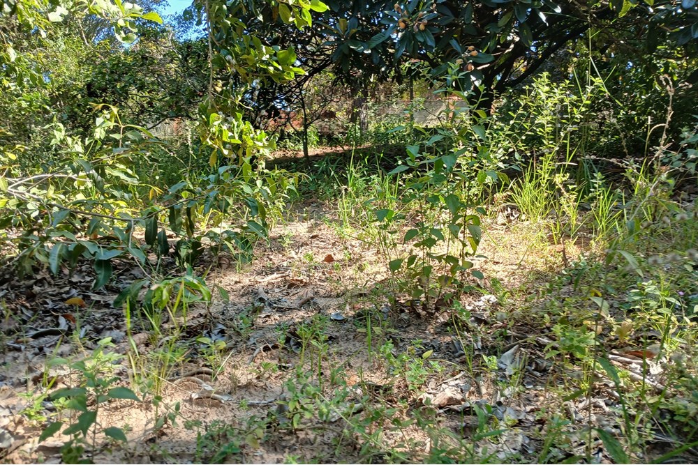 Terreno, 1400 m² - Foto 6