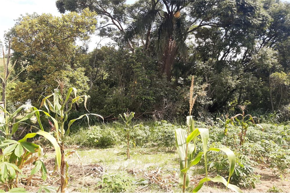 Terreno, 1300 m² - Foto 14