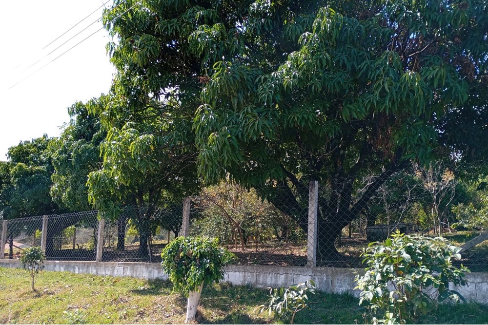 Chácara, 4 quartos, 3000 m² - Foto 16