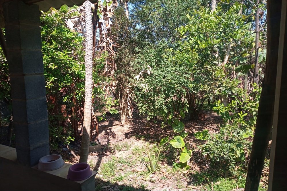 Chácara, 3 quartos, 1000 m² - Foto 22