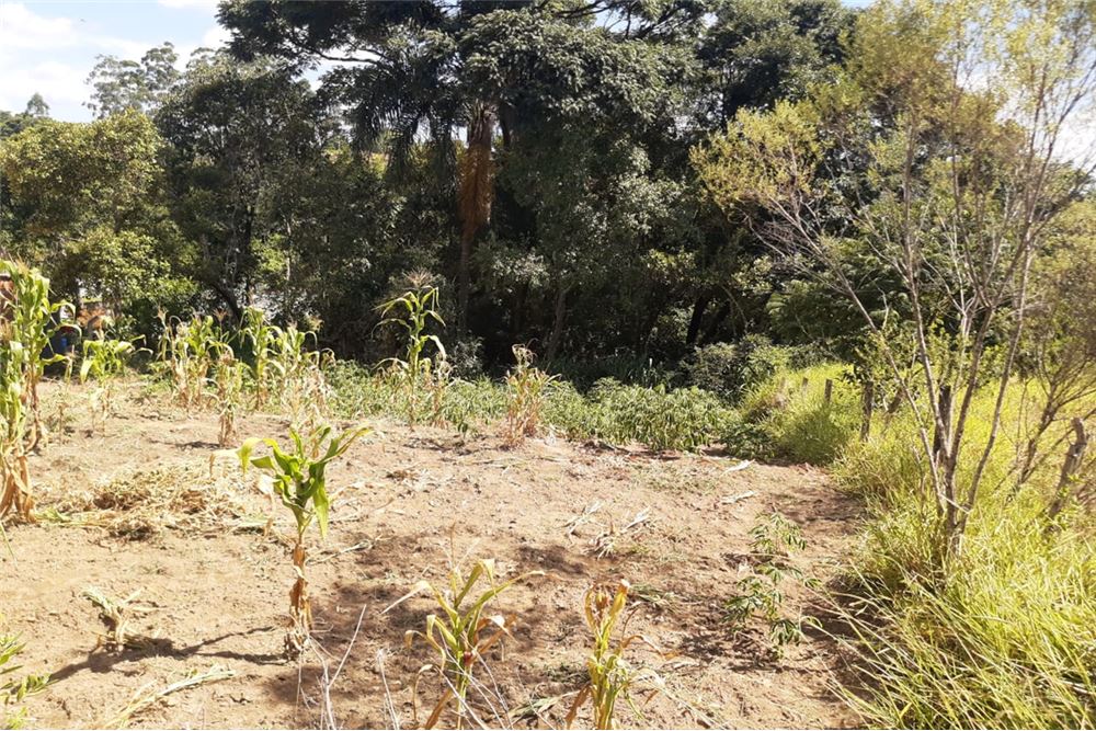 Terreno, 1300 m² - Foto 9