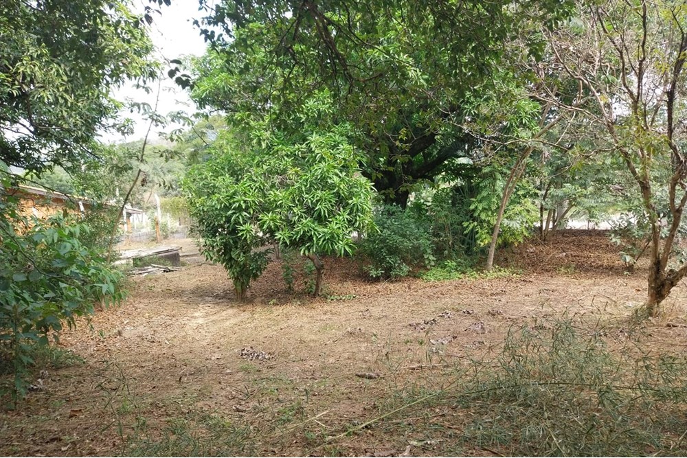 Terreno, 2803 m² - Foto 14