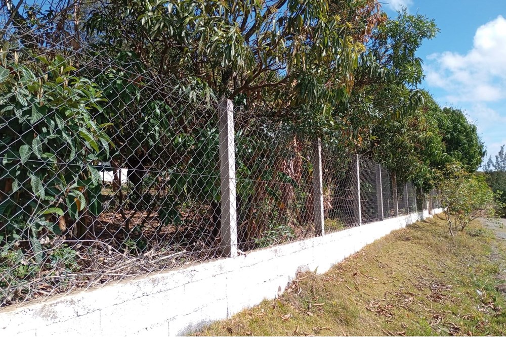 Chácara, 4 quartos, 3000 m² - Foto 12