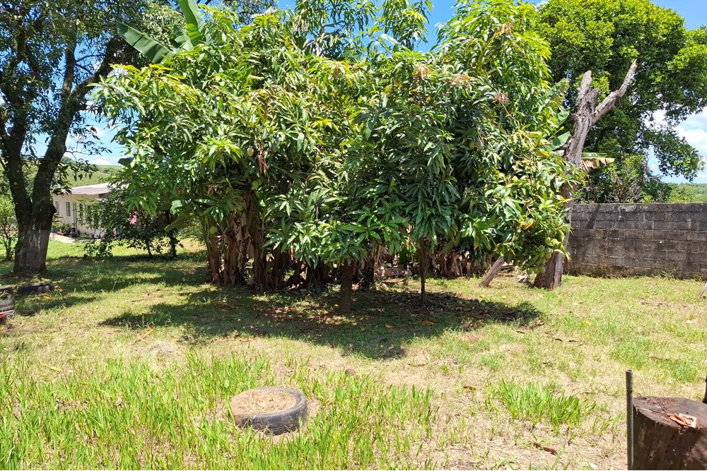 Chácara, 2 quartos, 1490 m² - Foto 18