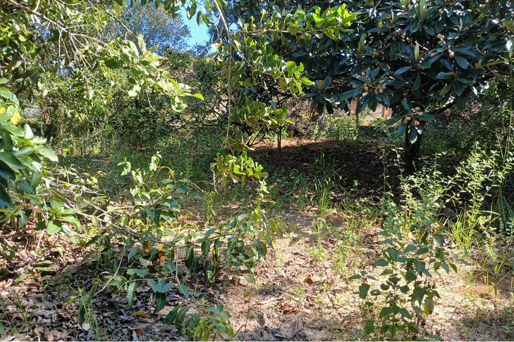 Terreno, 1400 m² - Foto 5