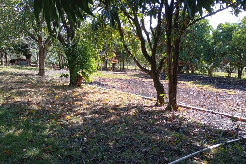 Chácara, 4 quartos, 3000 m² - Foto 21