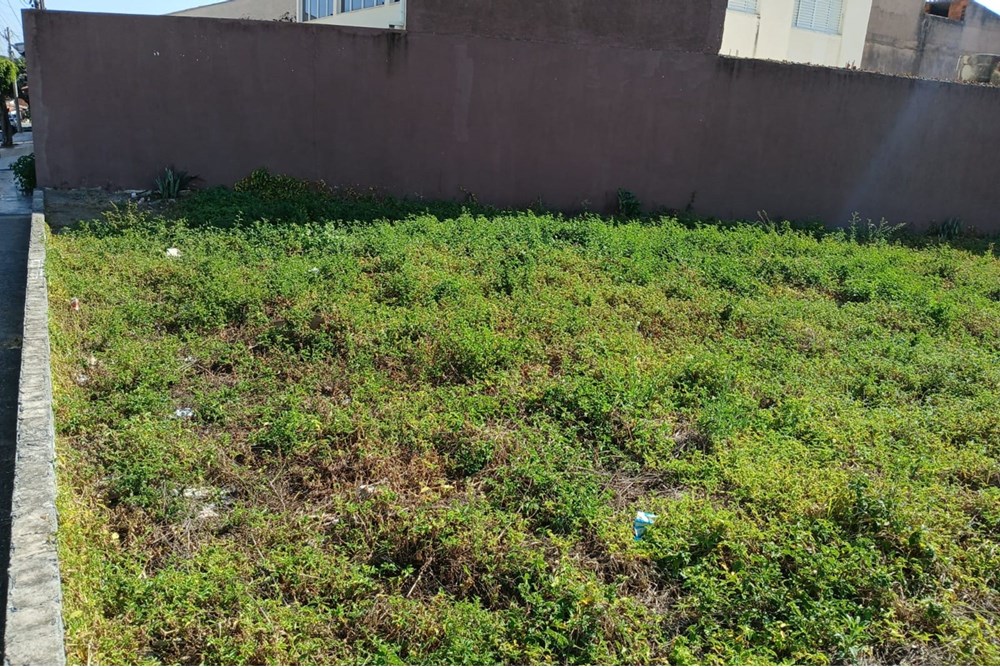 Terreno, 260 m² - Foto 14