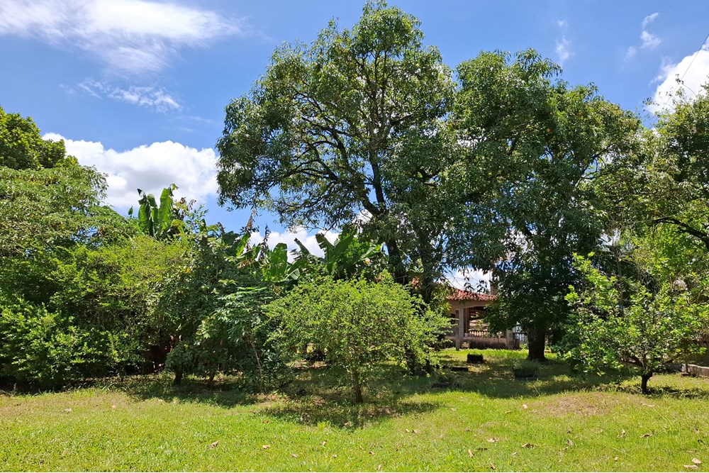 Chácara, 2 quartos, 1490 m² - Foto 33