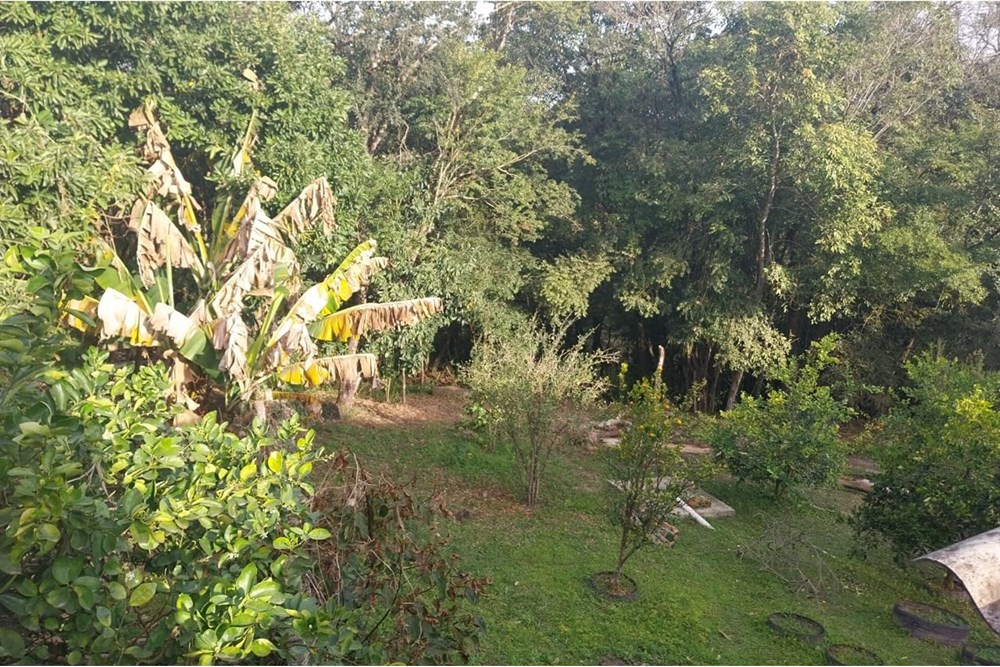 Chácara, 2 quartos, 1003 m² - Foto 12