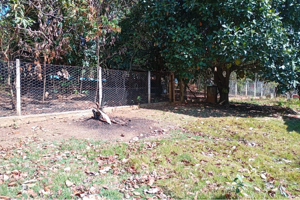 Chácara, 4 quartos, 3000 m² - Foto 19