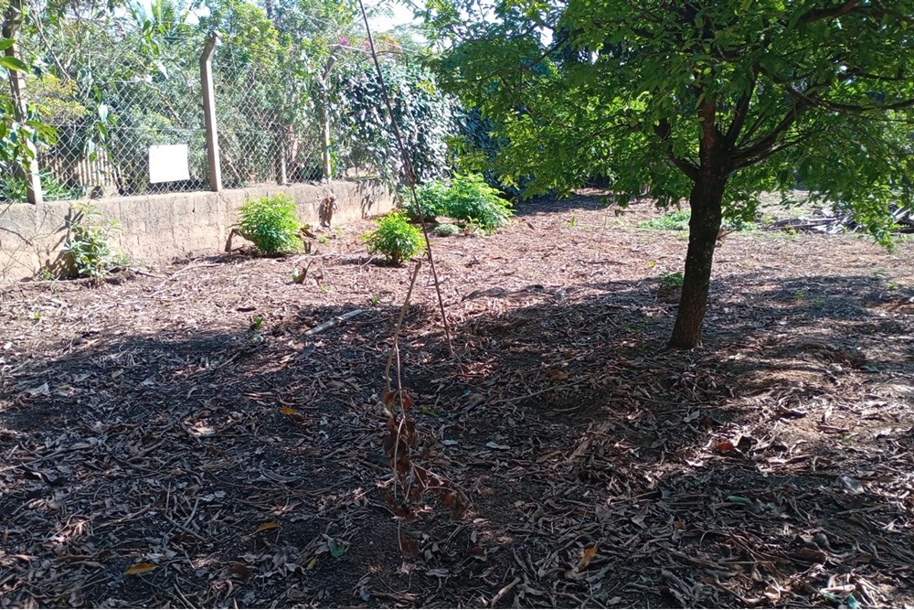 Terreno, 1232 m² - Foto 16