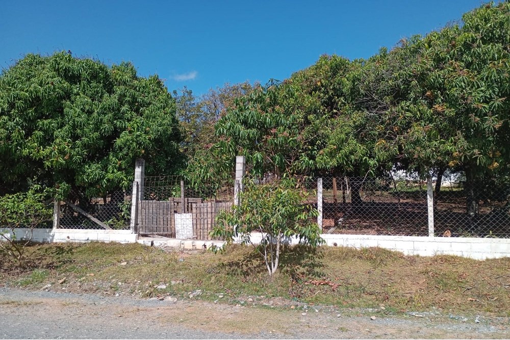 Chácara, 4 quartos, 3000 m² - Foto 14