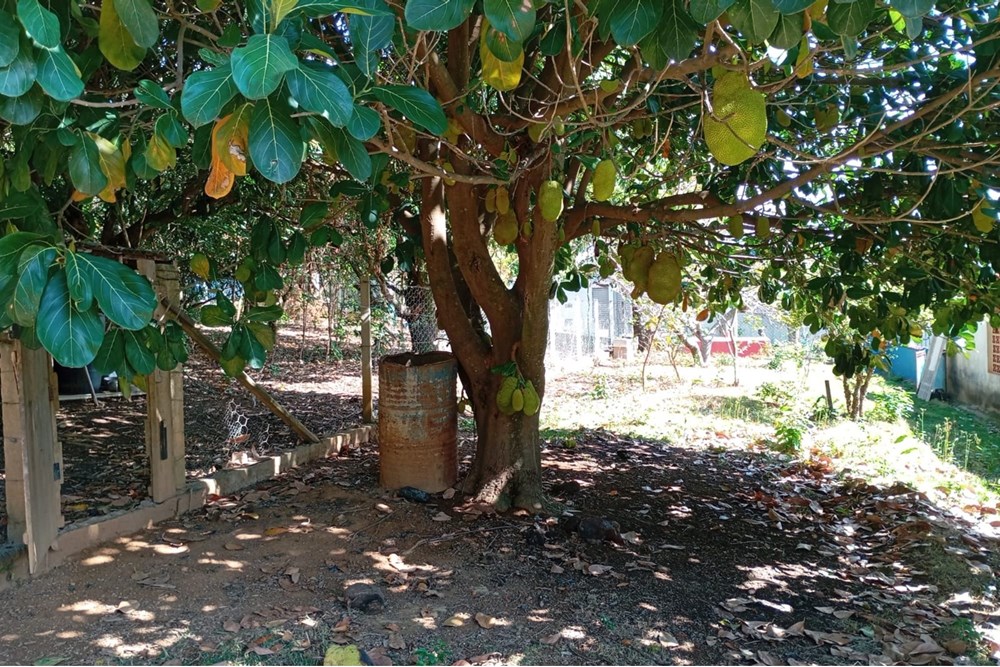 Chácara, 4 quartos, 3000 m² - Foto 18