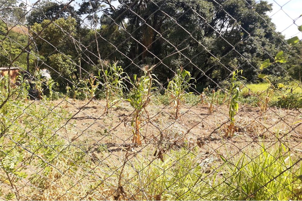 Terreno, 1300 m² - Foto 10