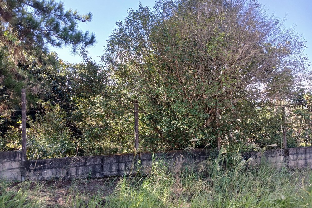 Terreno, 1400 m² - Foto 22